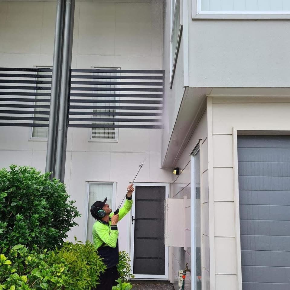 Garden-safe house washing protecting plants on the Sunshine Coast
