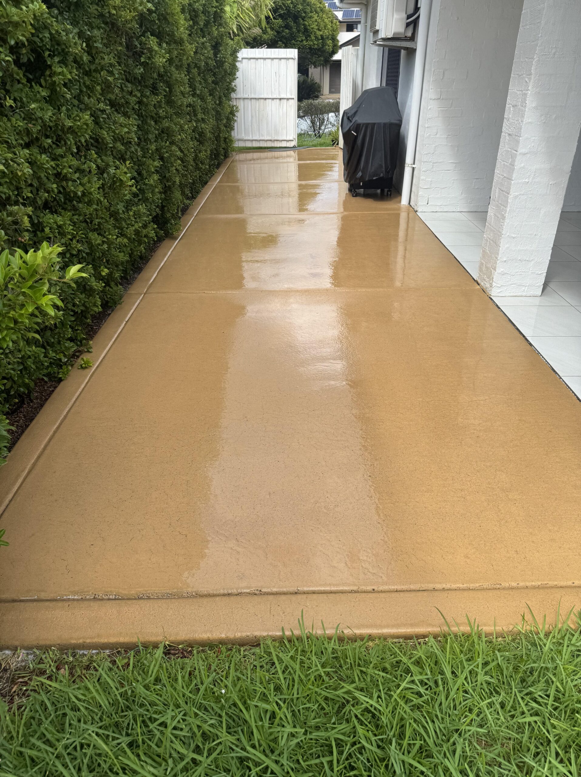 Wet, tan-colored concrete pathway beside a hedge and white house, with a black covered grill near a white gate at the end.