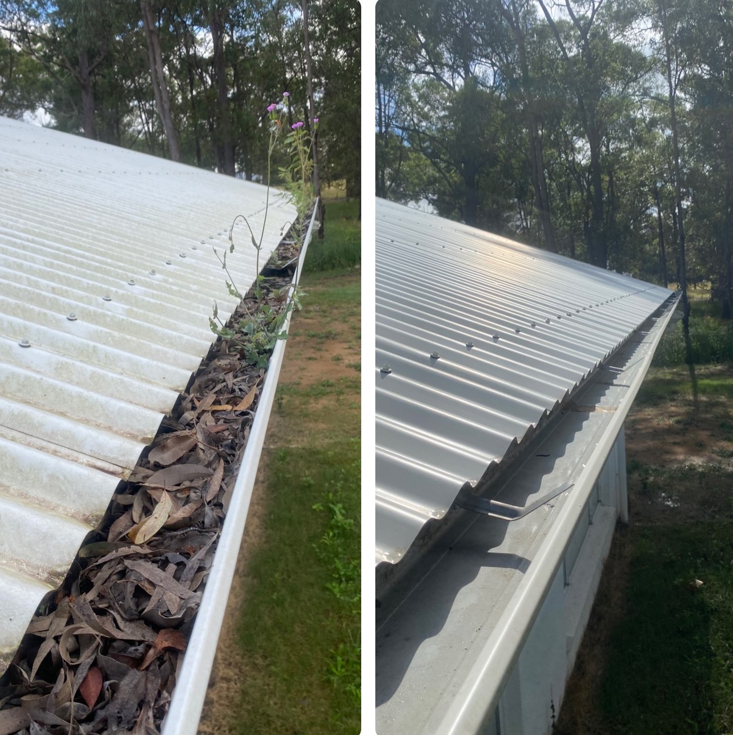 Split image shows a dramatic before and after of gutter cleaning in Sunshine Coast: the left side is filled with leaves and debris, while the right side is clear and spotless.
