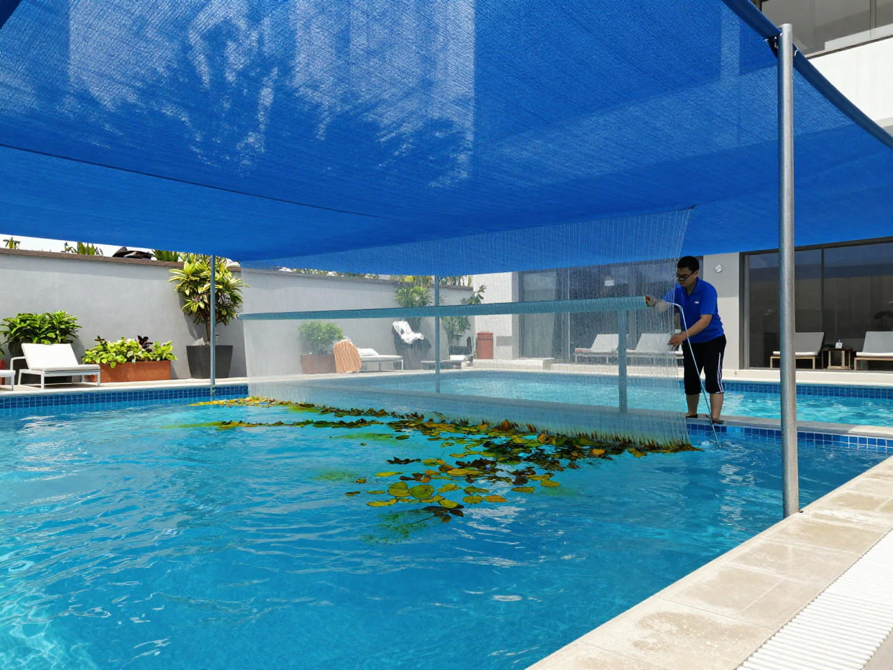 Professional cleaning of a blue shade sail over a swimming pool to remove organic debris.